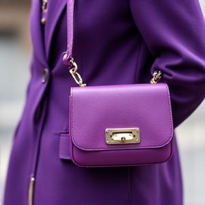 Mini sac structuré porté croisé, très en vogue sur Instagram.