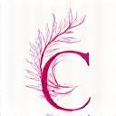 Logo stylisé d'une marque Skincare